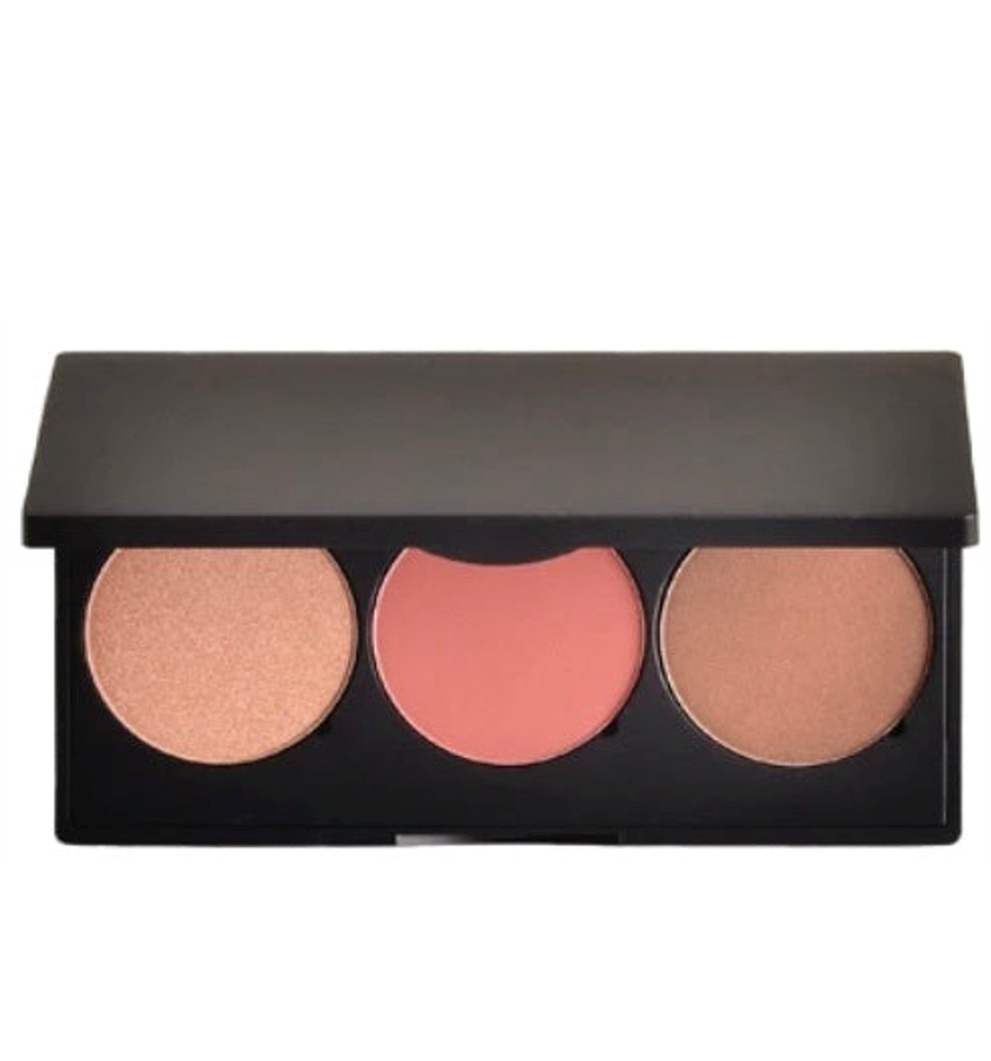Blush Cheek Pro Palette